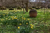 Jardin Highgrove au printemps, avril 2013. Jonquilles et primevères près de la promenade du Thym