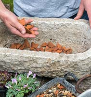 Guide pratique étape par étape pour planter une auge alpine en pierre avec des plantes rocheuses. Toutes les plantes rocheuses ont besoin d'un bon drainage, alors couvrez d'abord les trous de drainage avec des crocs - pour éviter qu'ils ne se bouchent, puis recouvrez de gravier jusqu'à une profondeur de 2-3 cm.