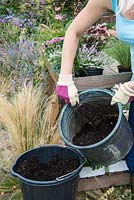 Planter un pot récupéré étape par étape. Remplissez de terreau.