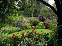 Parterre de fleurs chaud du jardin inférieur. Vue sous pittosporum, sur Dahlia 'Jescot Julie' et Longwood 'Dainty', sur parterres de graminées, hélénium, rudbeckia, ricinus, echinacea, cuphea, helianthus, viburnum, cotinus, rose.