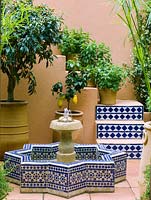 Cour marocaine avec arbres fruitiers en pot et différentes variétés de menthe. Piscine et fontaine centrale en forme d'étoile et carrelée.