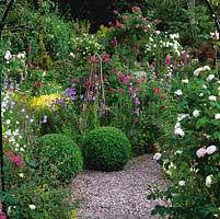 Dans le jardin d'herbes aromatiques, des boules de boîtes ponctuent les chemins de gravier et les parterres de digitale, de campanule, de marguerite, d'apothicaire rose, d'herbes et sur l'arche lointaine Rosa Iceberg et le pilier américain.