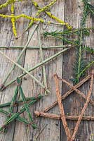Une variété d'étoiles festives fabriquées à partir de diverses coupes d'arbres et d'arbustes. If, fuseau, balai et prunus au lichen.