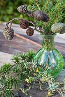 Affichage de cônes d'aulne et de feuillage de sapin dans un bocal en verre vert, accompagné de feuillage de mélèze et de Prunus au lichen