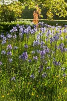The Wild Flower Meadow, Highgrove Garden, mai 2014