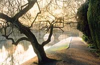 Vue du pont sur la rivière Cam avec saule pleureur. Clare College, Cambridge