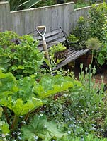 Panier d'origan cueilli sur banc par pot de fraise, myrtille et pavot. Rhubarbe en parterre de fleurs. Le jardin d'Alys Fowler 18m x 6m, bio, productif et joli.