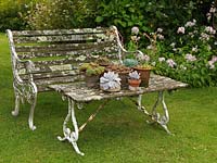 Une vieille table et un banc incrusté de lichen, des pots de plantes succulentes sur la table.