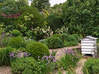 Herb Garden - jardin de gravier avec forme de boîte topiaire et parterres de sauge, ruse, ciboulette, angélique, santoline, lavande, valériane. Ruche. Rosa 'Buff Beauty' par la porte