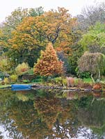 Bateau amarré sur le lac près de la rive - feuilles colorées d'automne sur les arbres
