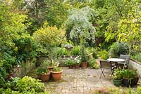Jardin de ville isolé à Cambridge. Terrasse entourée de parterres surélevés menant à un jardin de gravier avec Elaeagnus angustifolia.