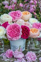 Une nature morte de roses de jardin anglais cueillies et photographiées dans les célèbres roseraies de David Austin.