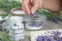 Ajouter les fleurs de Lavandula angustifolia 'Hidcote' à un pot de sucre en verre