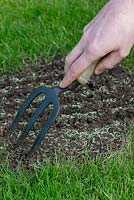 Restaurer une pelouse endommagée étape par étape - Utilisez une truelle pour ratisser les semences de gazon dans les semoirs.