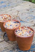 Pots en terre cuite remplis d'un mélange de saindoux ou de graisse, de raisins secs, de graines pour oiseaux, de fromage et d'arachides