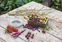 Ingrédients nécessaires à la fabrication des cordes Berry. Branches couvertes de lichen, pommes de crabe sauvage, baies de prunelles, cynorrhodons, marrons d'Inde, pyracanthe et fil