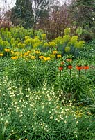 Parterre de printemps dans un jardin boisé avec Fritillaria imperialis, Fritillaria verticillata et Euphorbia characias subsp. wulfenii. Avril.