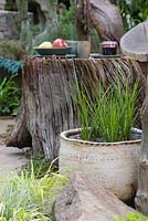 Calamagrostis x acutiflora 'Karl Foerster' dans un pot marécageux, regardant vers une souche d'arbre avec un pique-nique aménagé. Le jardin de pique-nique du sculpteur. RHS Chelsea Flower Show, 2015.