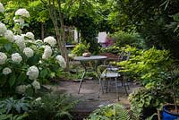 Un coin salon ombragé et isolé avec table et chaises en métal entouré d'Hydrangea arborescens Annabelle, Acers et fougères.