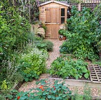 Un potager de jardin avec des bordures de légumes surélevées, un parterre de fleurs et de plantes vivaces et un hangar de stockage en bois