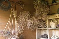 Un pavillon d'été est rempli de grosses têtes de semence d'Allium cristophii et d'Allium 'Purple Sensation', suspendues à l'envers pour sécher.