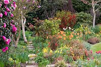 Un jardin printanier coloré avec un parterre de tulipes, de jonquilles et de graminées ornementales.