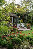 Un jardin de campagne avec des parterres mélangés chauds avec du sucre brun Tulipa, du Cassini Général de Wet et Orange avec Acer et des boules en forme de boîte. Derrière, une petite maison d'été en bois et un patio.