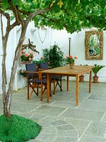 Véranda intérieure avec vitis, pélargonium en pots, collection d'outils anciens, Plumbago auriculata - Cape Leadwort, table et chaises en bois