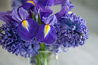 Bouquet d'iris hollandais et de jacinthe dans un vase en verre