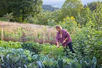 Katrin Schumann travaille son acre de légumes dans la forêt bavaroise. Les plantes sont le brocoli, les carottes, les salades, les tournesols, Helianthus annus et Helianthus tuberosus