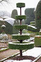 If à plusieurs niveaux - Taxus topiaire à Levens Hall and Garden, Cumbria, Royaume-Uni
