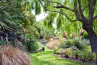 Grands saules et autres graminées et arbustes indigènes au jardin Bhudevi Estate, Marlborough, Nouvelle-Zélande.