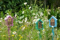 Boîtes à insectes situées dans une petite zone de fleurs sauvages du jardin, visant à attirer les abeilles maçonnes rouges pollinisatrices.