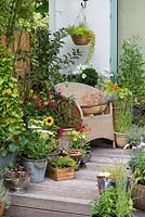 Chaise avec trug de têtes de lavande et d'allium, sur une terrasse en bois surélevée avec des pots d'été de petits pois, fuchsia, thunbergia, tournesol, nicotiana, capucine, leucanthemum et herbes.