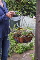Femme arrosant un panier suspendu contenant des plantes succulentes et des pots en terre cuite