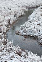 Ruisseau incurvé dans un paysage d'hiver gelé.