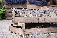 Paniers de rangement en bois avec des fleurs de lavande coupées et séchées. The Lavender Garden, concepteurs: Paula Napper, Sara Warren, Donna King. Commanditaire: Shropshire Lavender