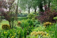 Plantation marginale en bordure de ruisseau dans le jardin avec Iris pseudacorus et fougères. Mitton Manor, Staffordshire.