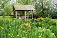 Plantation marginale en bordure de ruisseau dans le jardin avec Iris pseudacorus et fougères. Mitton Manor, Staffordshire.