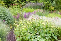 Une section d'un parterre de fleurs herbacées à Bluebell Cottage Gardens, Cheshire. Les plantes comprennent Stipa, Phlomis russeliana, pavot de Californie, Lychnis coronaria, Monarda, Sidalcea et Salvia nemorosa