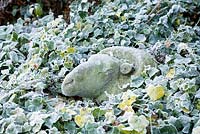 Tup's head stone carving parmi lierre