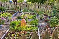 Bordure de légumes et de légumes aux herbes au printemps. Ail, laitue, oignon, chou-rave, ciboulette, vivaces. Forcer la rhubarbe.