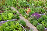 Jardin potager et herbeux avec bordures végétales surélevées et dallage menant à travers.