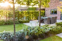 De longs parterres herbacés mènent à une terrasse avec des sièges, dans un jardin de campagne moderne du Cheshire, conçu par Louise Harrison-Holland. Les plantes comprennent des couvertures en boîte, du Pyrus calleryana 'Chanticleer', des anémones japonaises, des Stachys, des Persicaria et des Ophiopogon planiscapus 'Nigrescens'.
