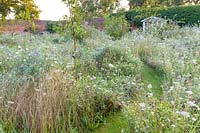 Un chemin herbeux mène à un pavillon d'été, tandis que les fleurs sauvages, fournies par Wildflower Turf Ltd, fleurissent sous un verger de poiriers, de pommiers et de pruniers dans un jardin de campagne moderne du Cheshire, conçu par Louise Harrison-Holland