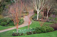 Vue d'hiver colorée au Savill Garden, Surrey.