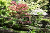 La maison de thé dans le jardin japonais, Tatton Park, Cheshire