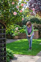Aérer une pelouse avec une fourchette pour favoriser le drainage.