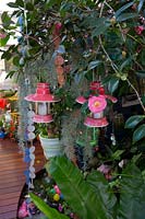 Deux bougeoirs en métal rose et blanc et verre suspendus dans un arbre avec une seule fleur rose Camellia japonica, carillons éoliens et Tillandsia usenoides, mousse espagnole.