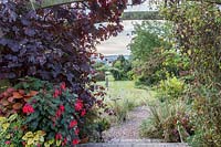 Little Ash Garden, Fenny Bridge, Devon. Jardin d'automne. Vue à travers l'arc en bois planté de Vitis vinifera 'Purpurea', Fuchsia 'Insulinde' en pot en dessous